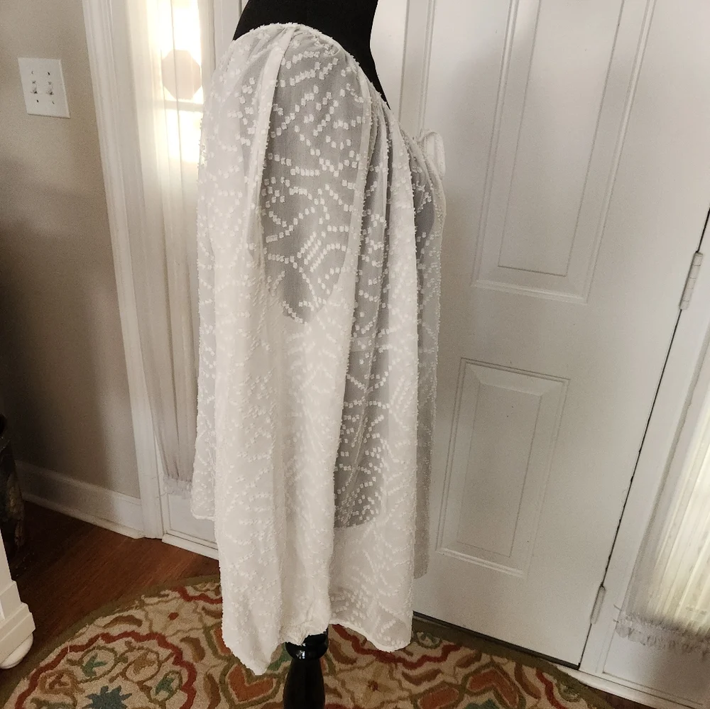 Jessica Simpson White Long Sleeve Dotted Swiss Sheer Blouse Size Plus 1X - Picture 3 of 7